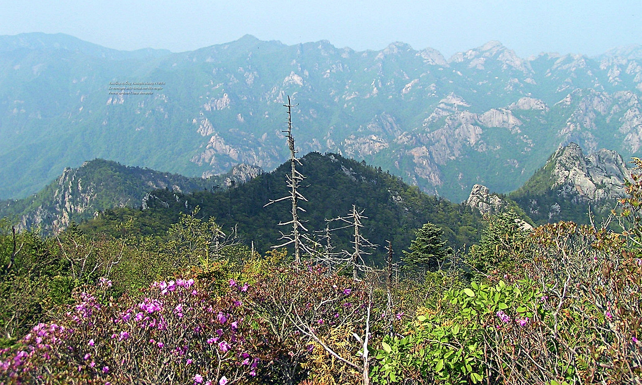 마등령,귀떼기청 5월30일 181.jpg