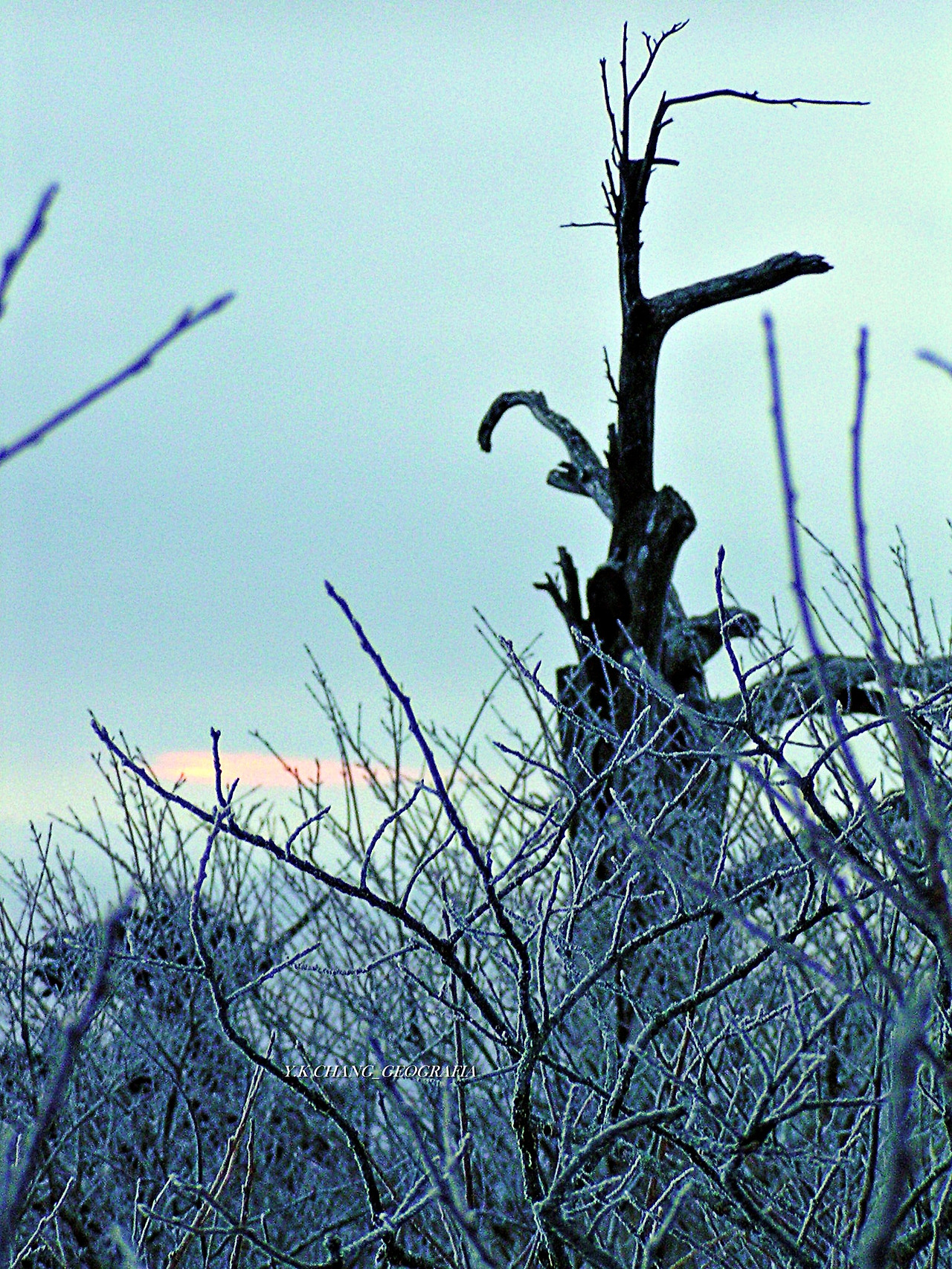 청1월1일 태백 026-1.jpg