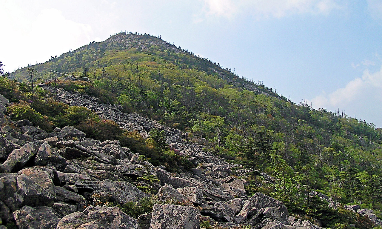 마등령,귀떼기청 5월30일 211.jpg