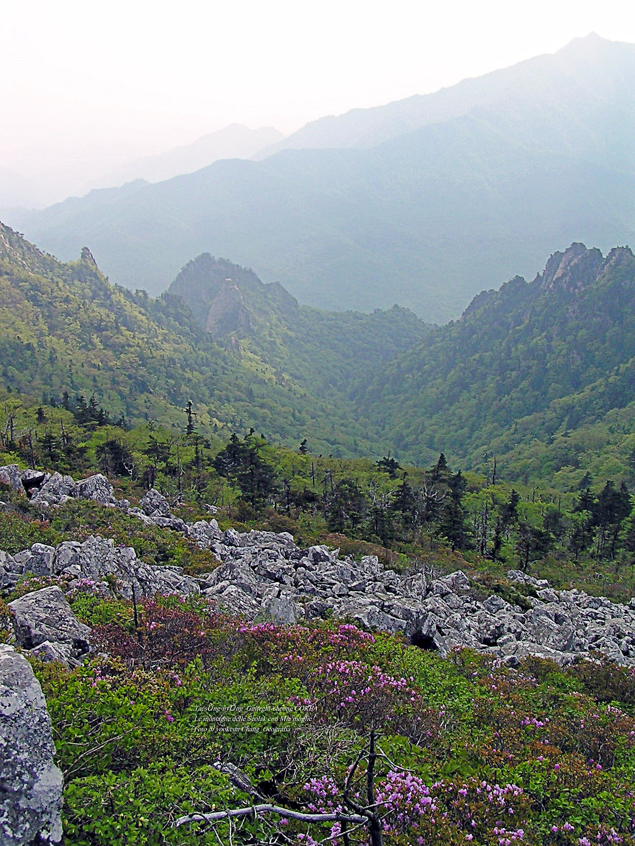 마등령,귀떼기청 5월30일 166.jpg