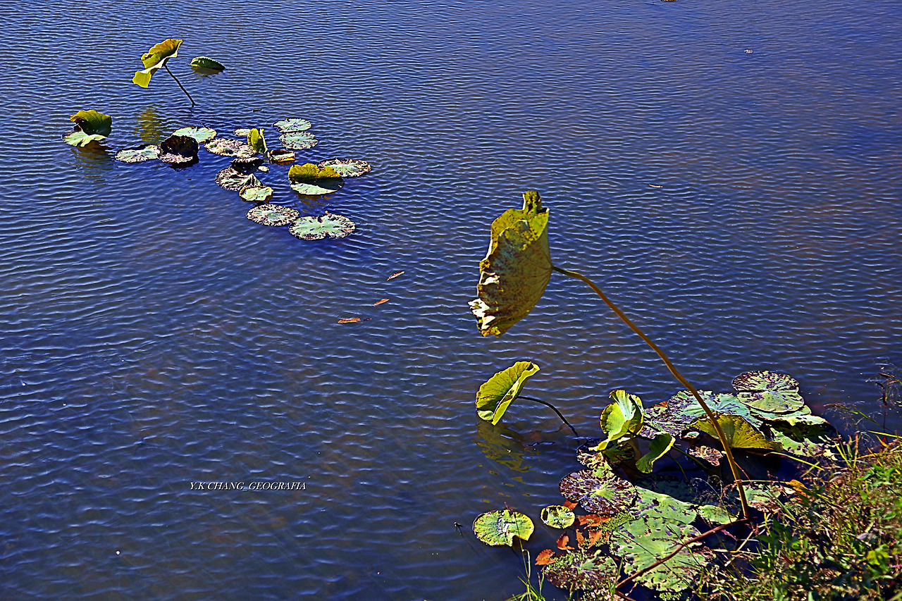 정약용능내리 112-1.jpg