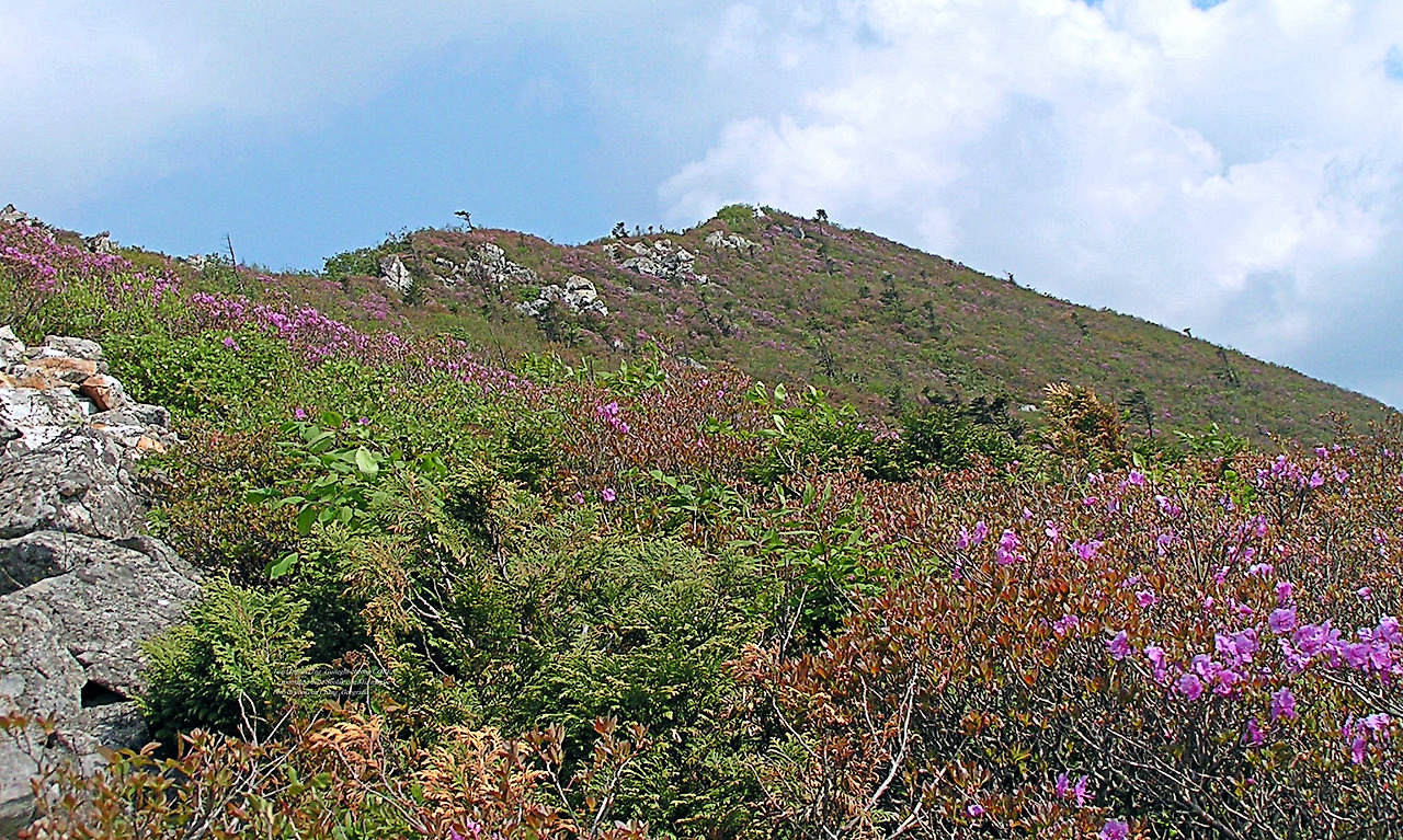 마등령,귀떼기청 5월30일 172.jpg