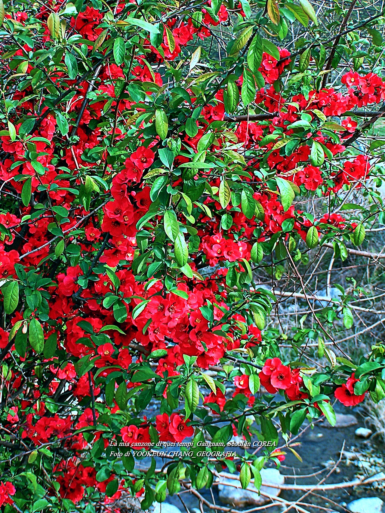 예봉산 5월3일 028.jpg