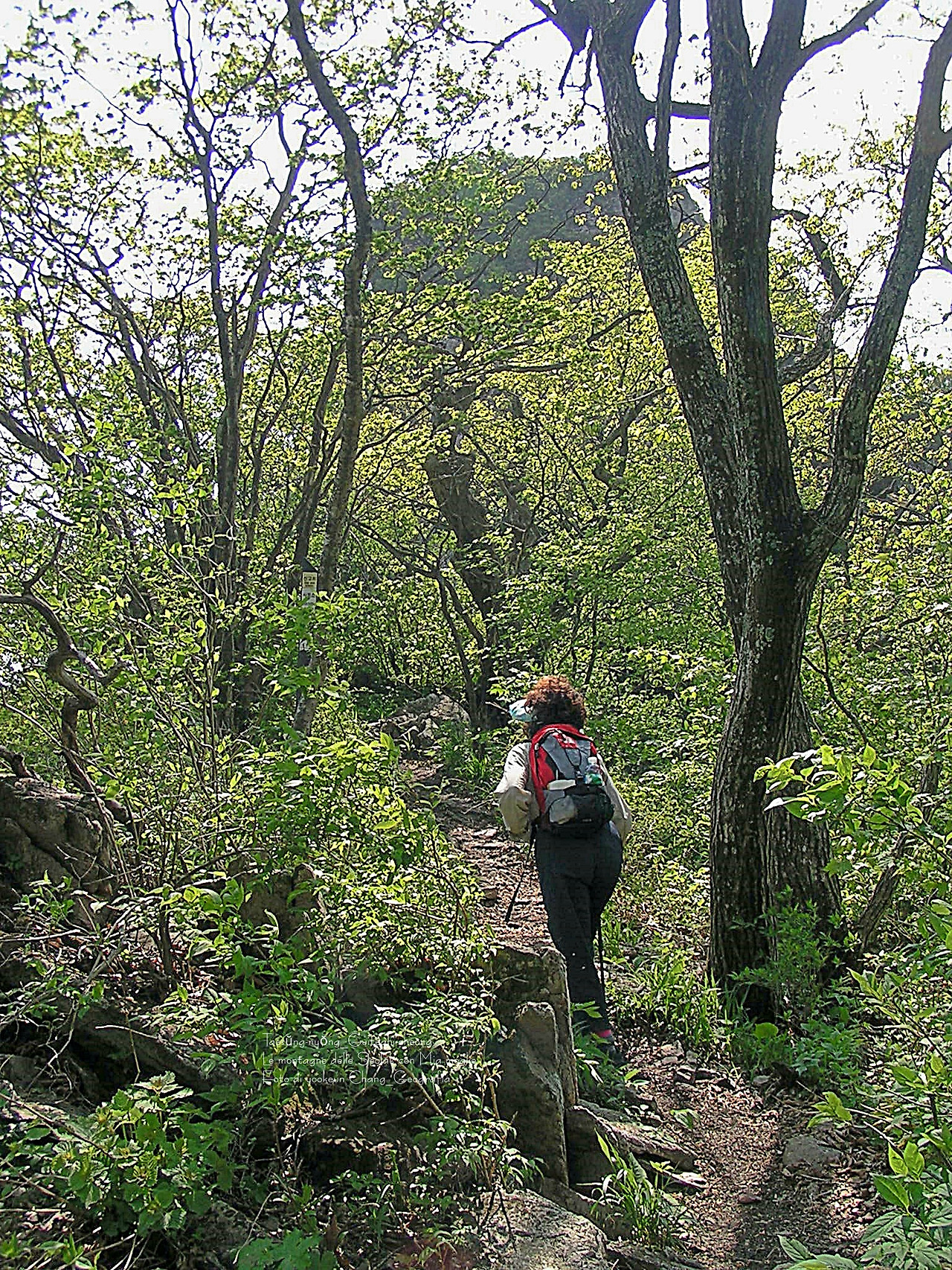 마등령,귀떼기청 5월30일 037.jpg