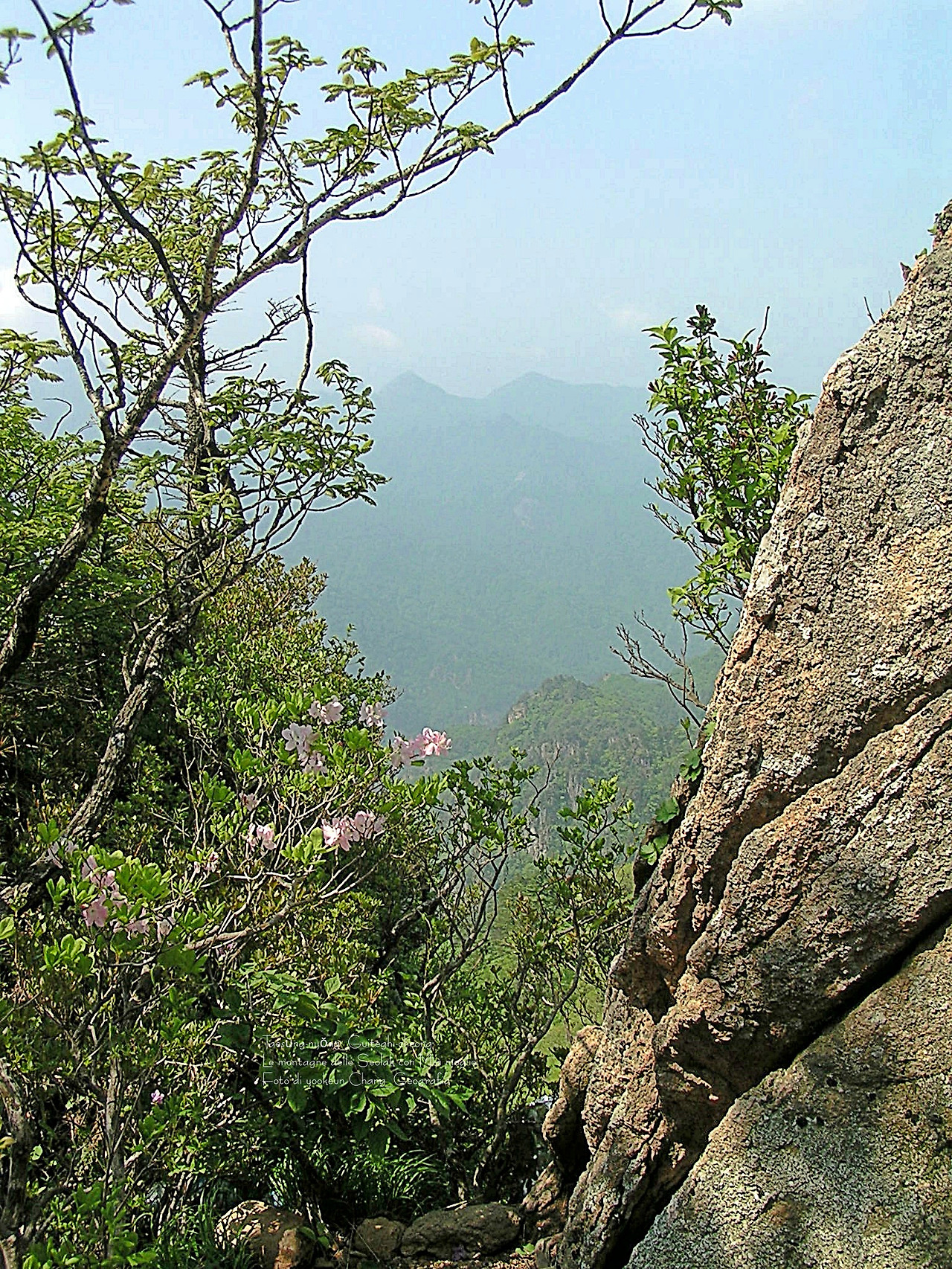 마등령,귀떼기청 5월30일 040.jpg