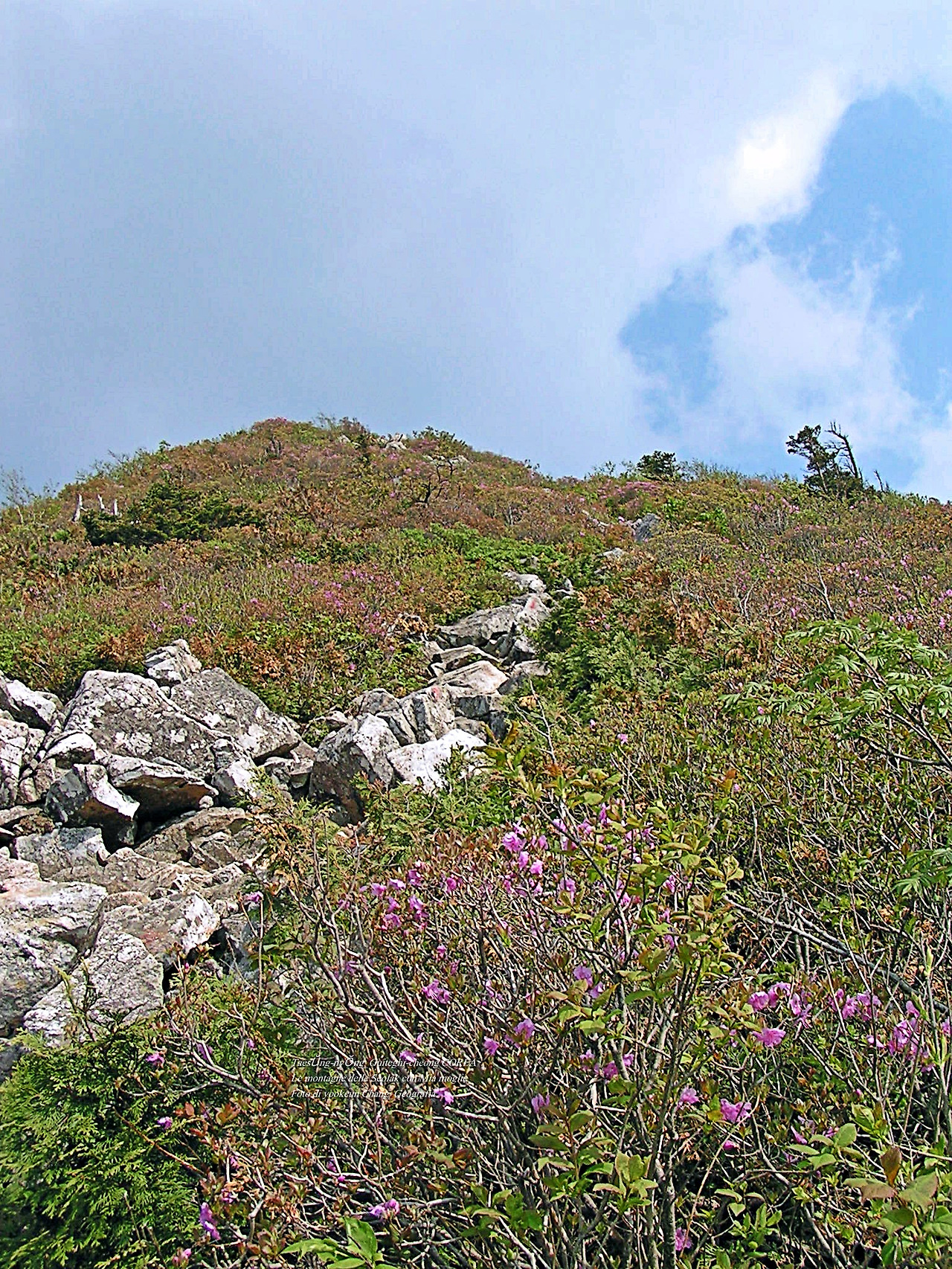 마등령,귀떼기청 5월30일 171.jpg