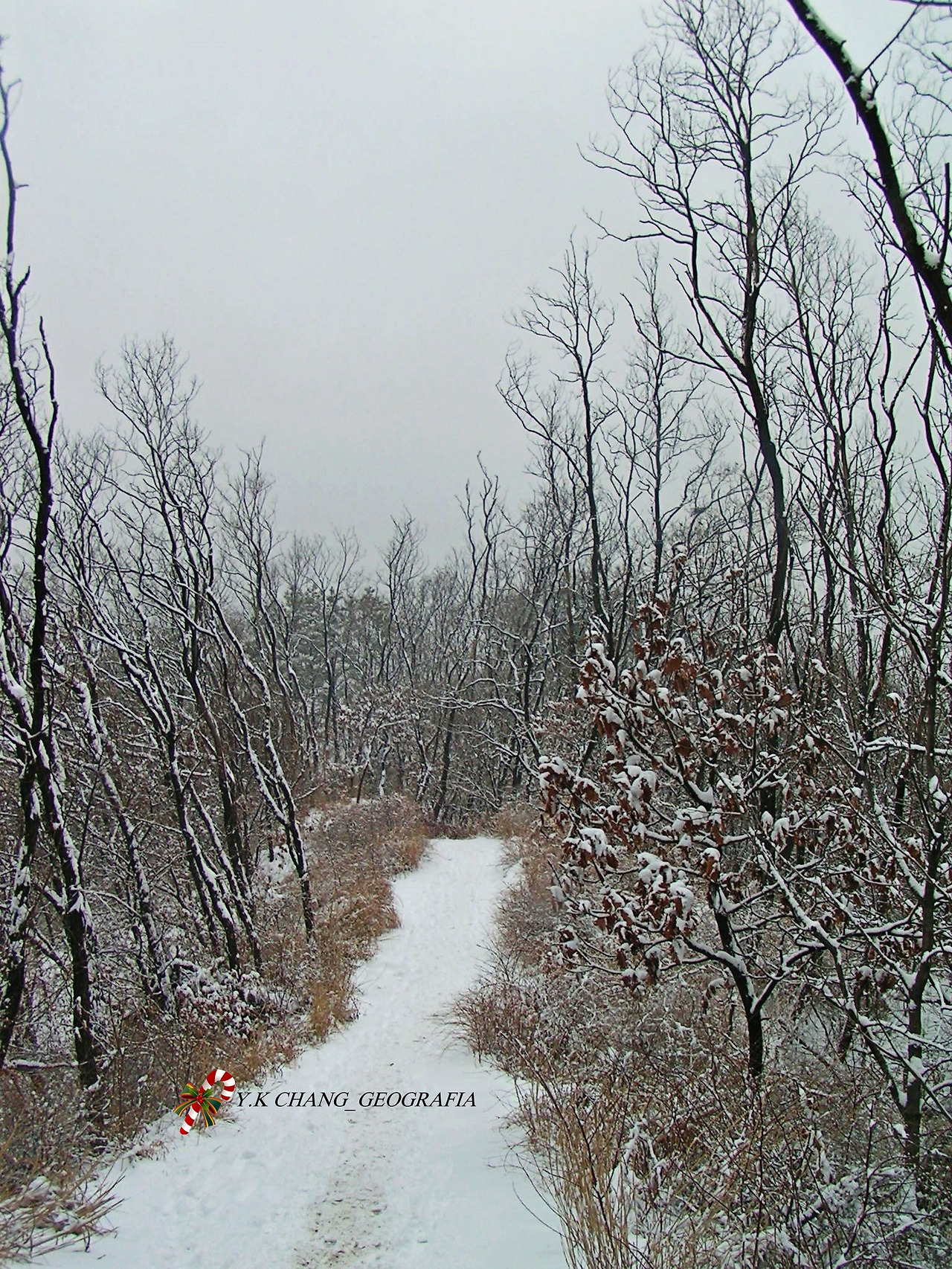 눈오는 날 청계산 027-1.jpg