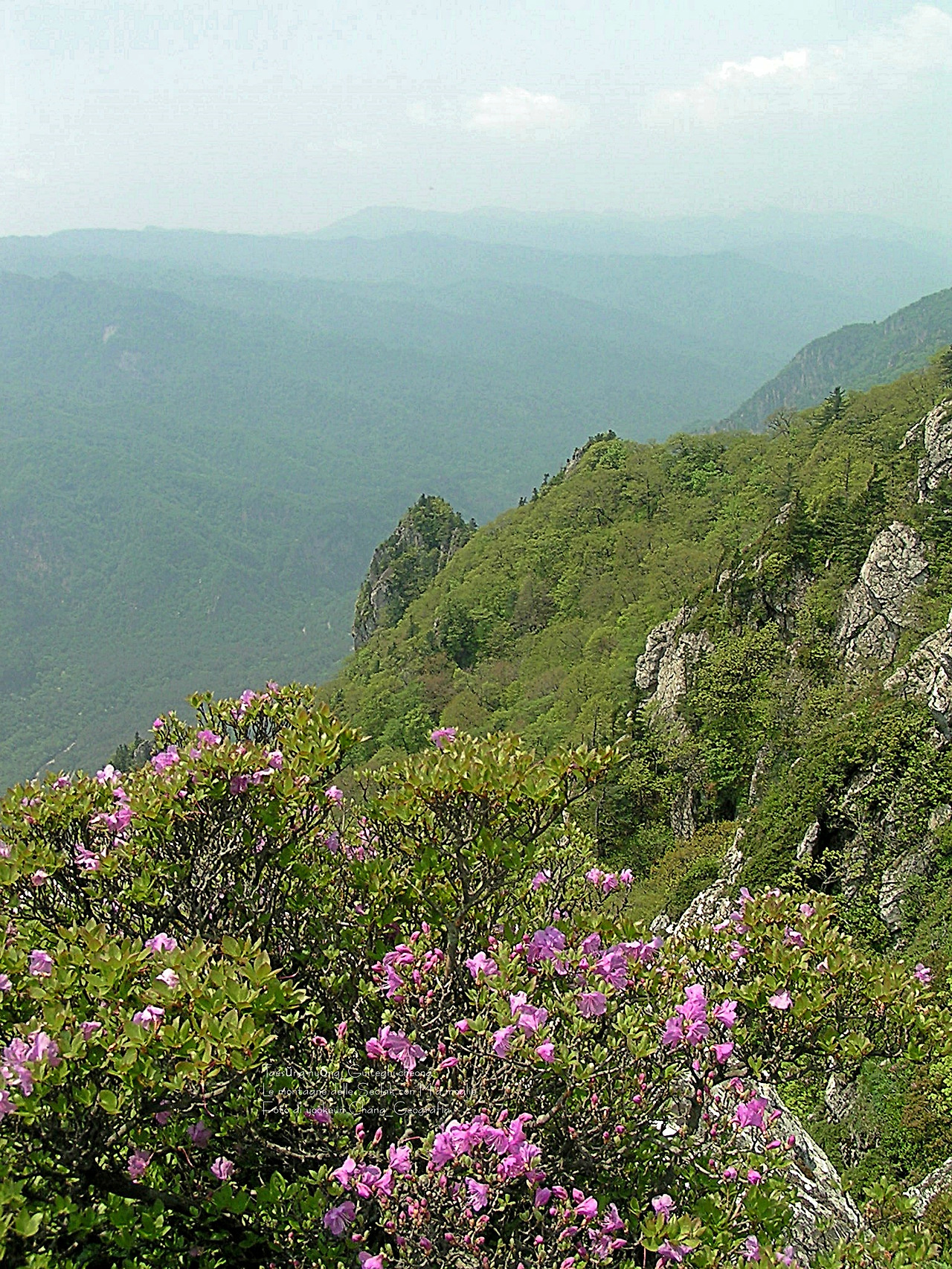 마등령,귀떼기청 5월30일 073.jpg