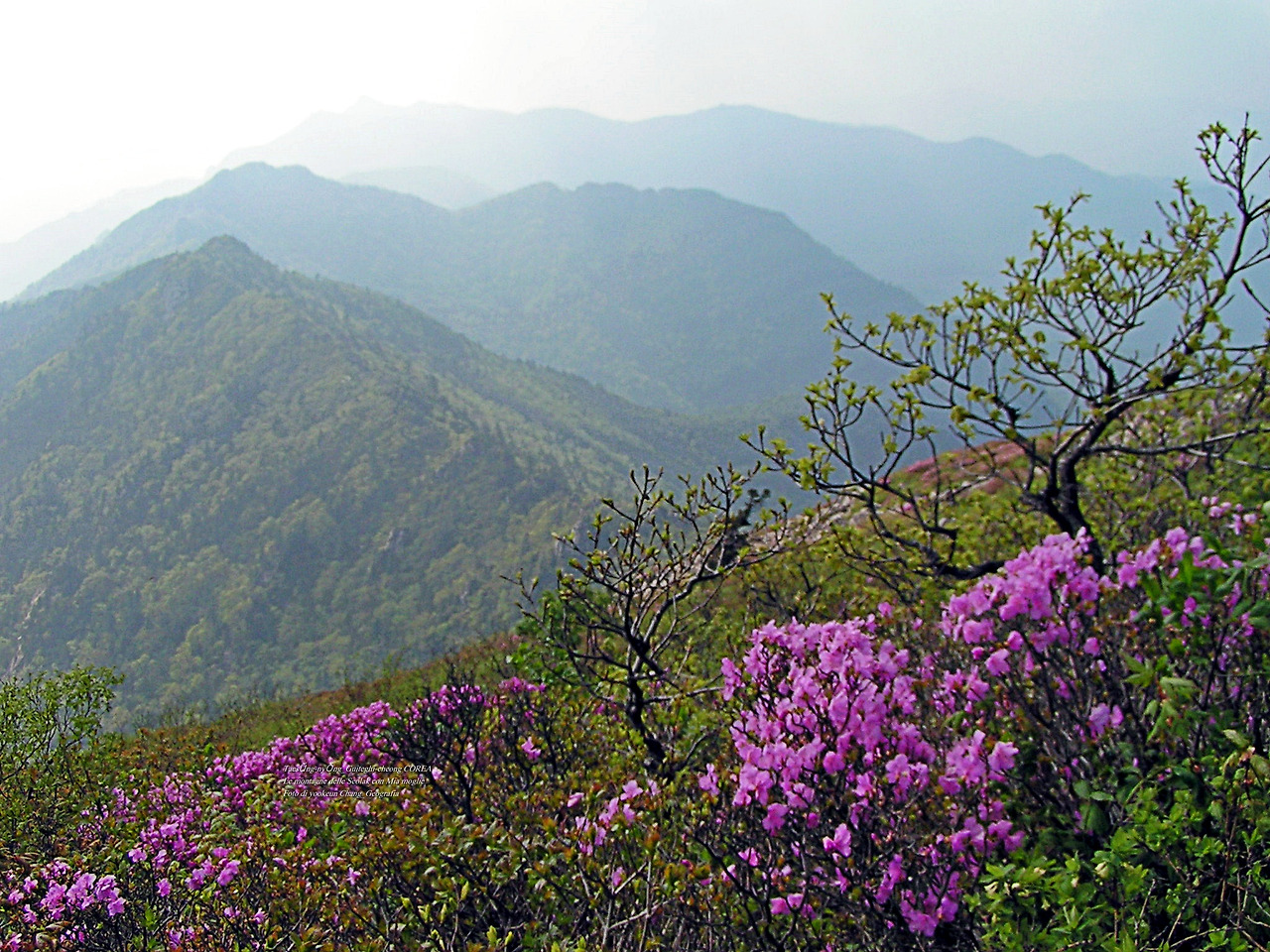 마등령,귀떼기청 5월30일 177.jpg