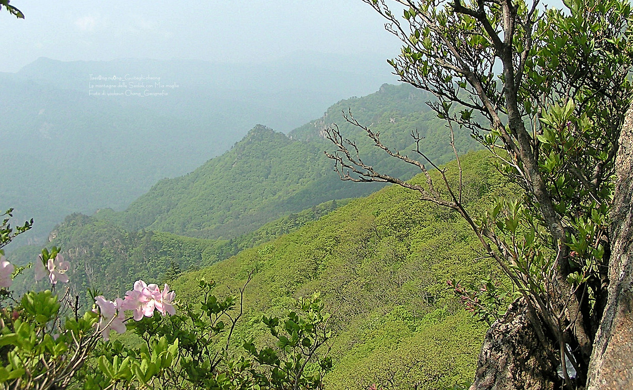 마등령,귀떼기청 5월30일 041.jpg