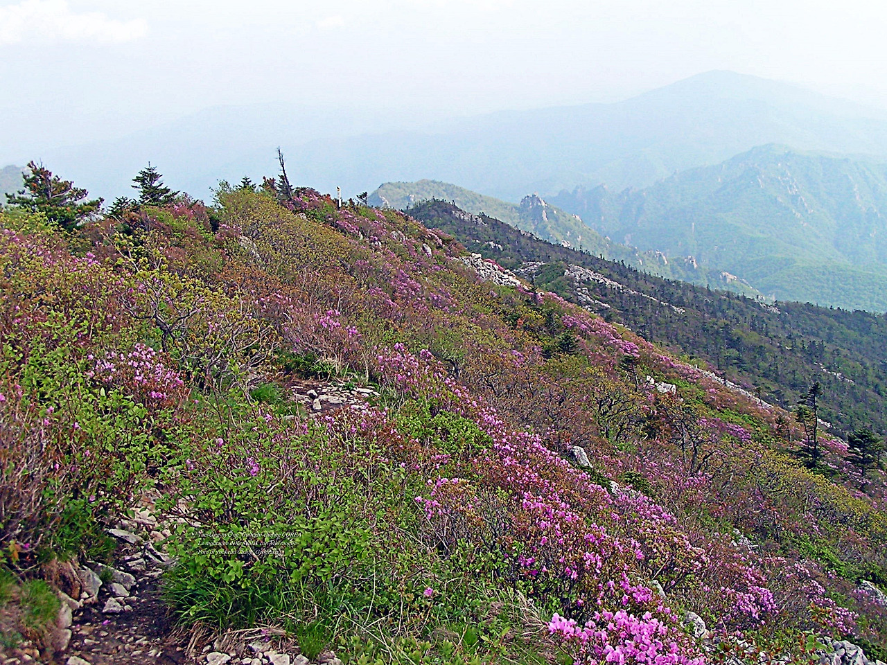 마등령,귀떼기청 5월30일 192.jpg