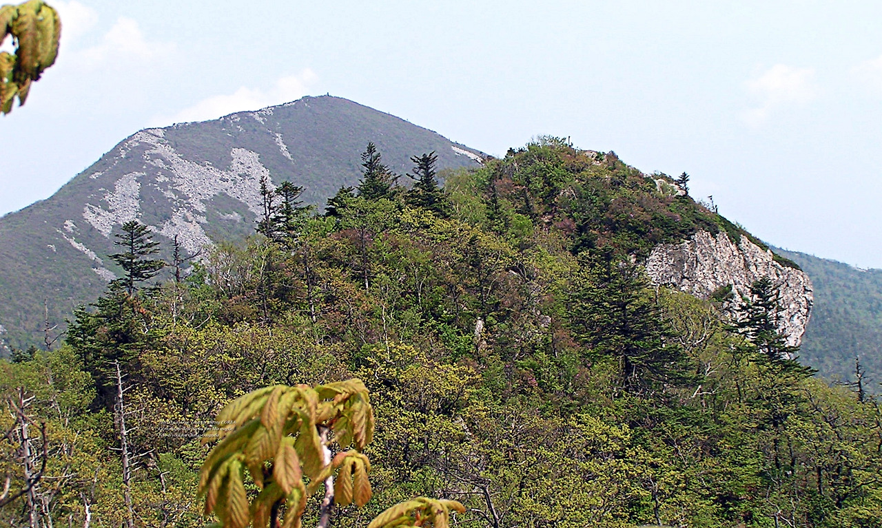 마등령,귀떼기청 5월30일 152.jpg