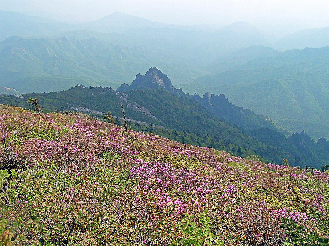 마등령,귀떼기청 5월30일 191.jpg