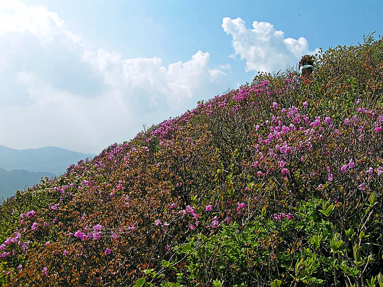마등령,귀떼기청 5월30일 189.jpg