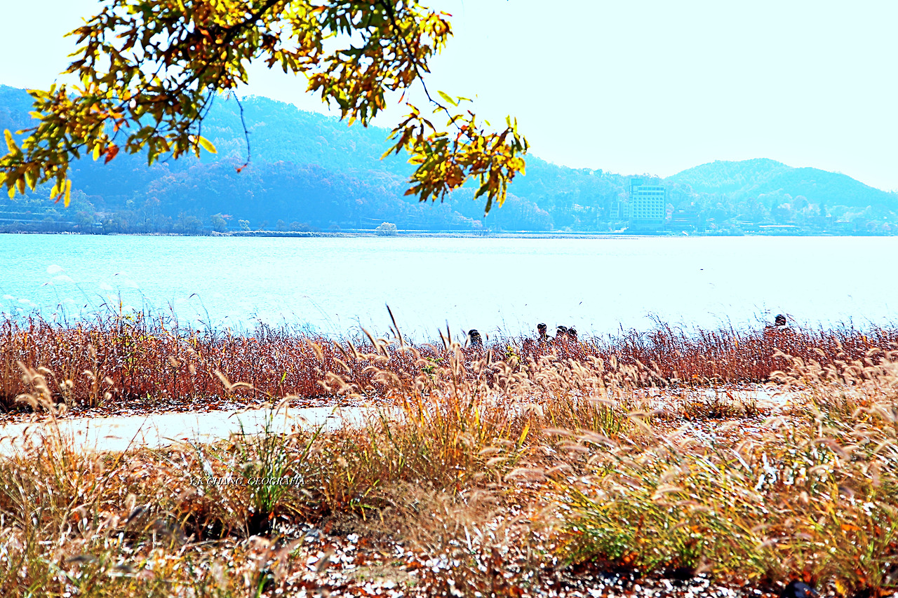 정약용능내리 190-1.jpg