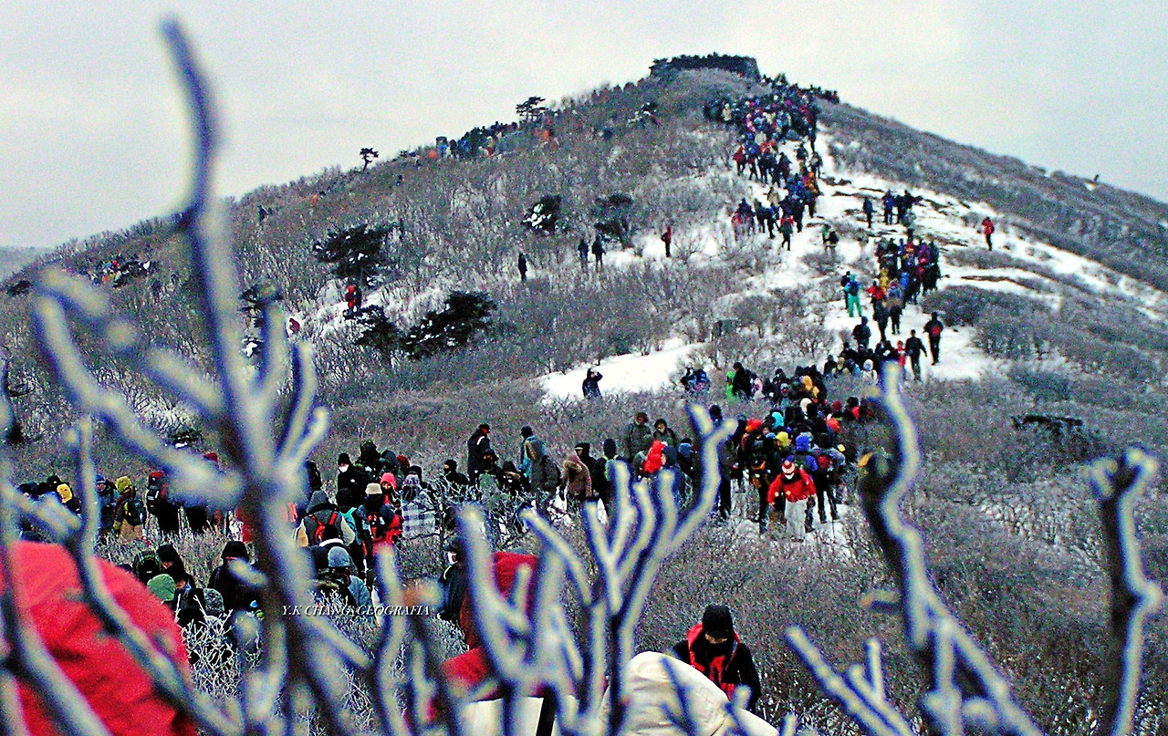 청1월1일 태백 042-1.jpg