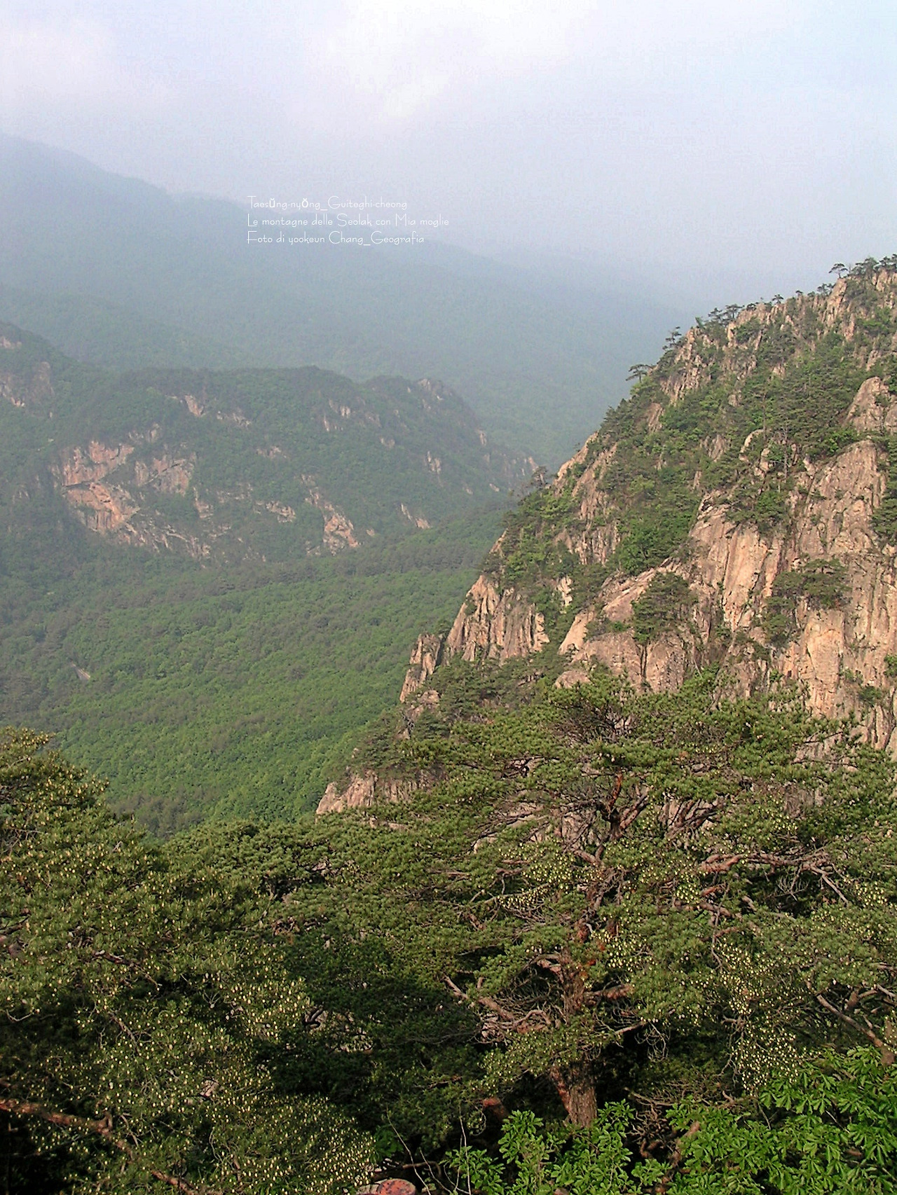 마등령,귀떼기청 5월30일 013.jpg