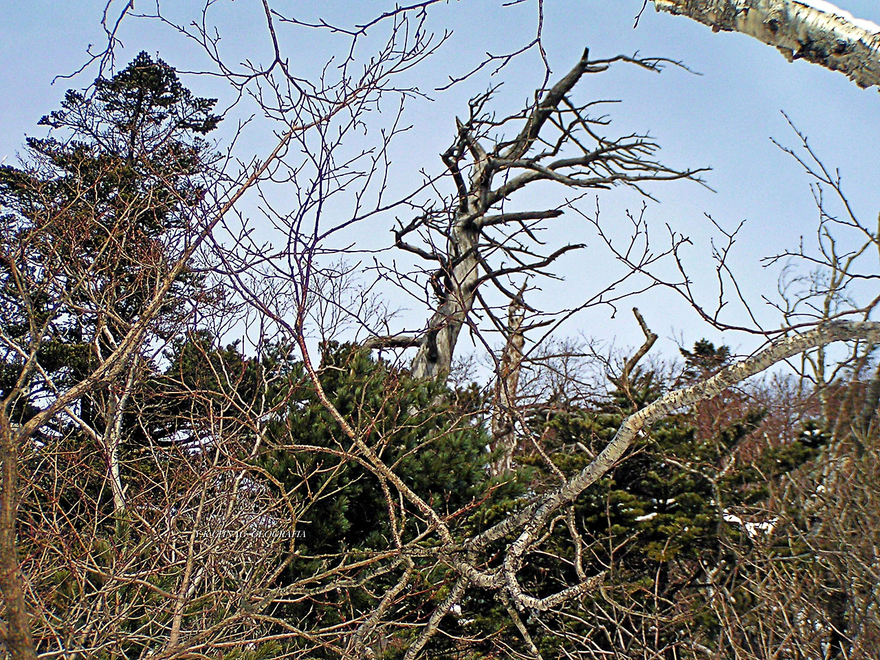 설악산 대청봉 051-1.jpg