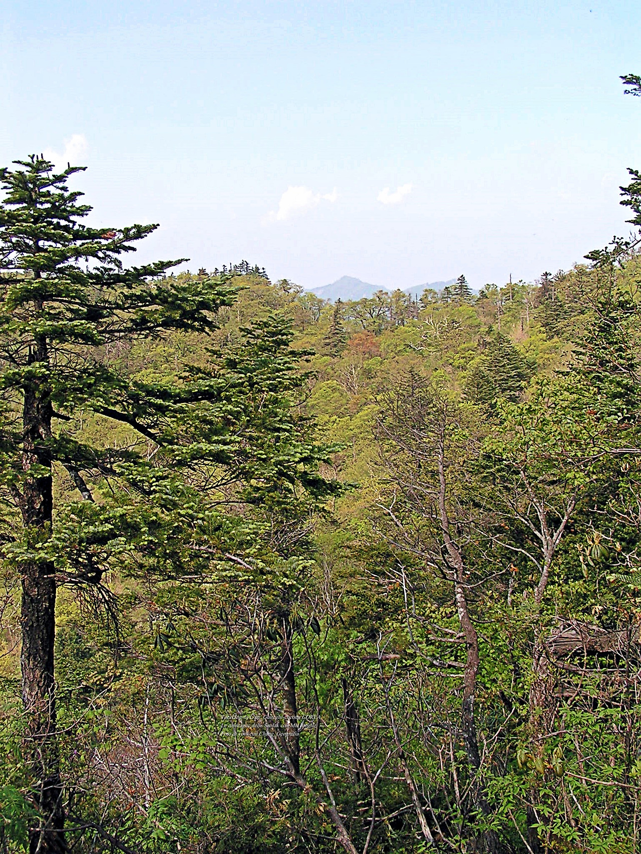 마등령,귀떼기청 5월30일 160.jpg