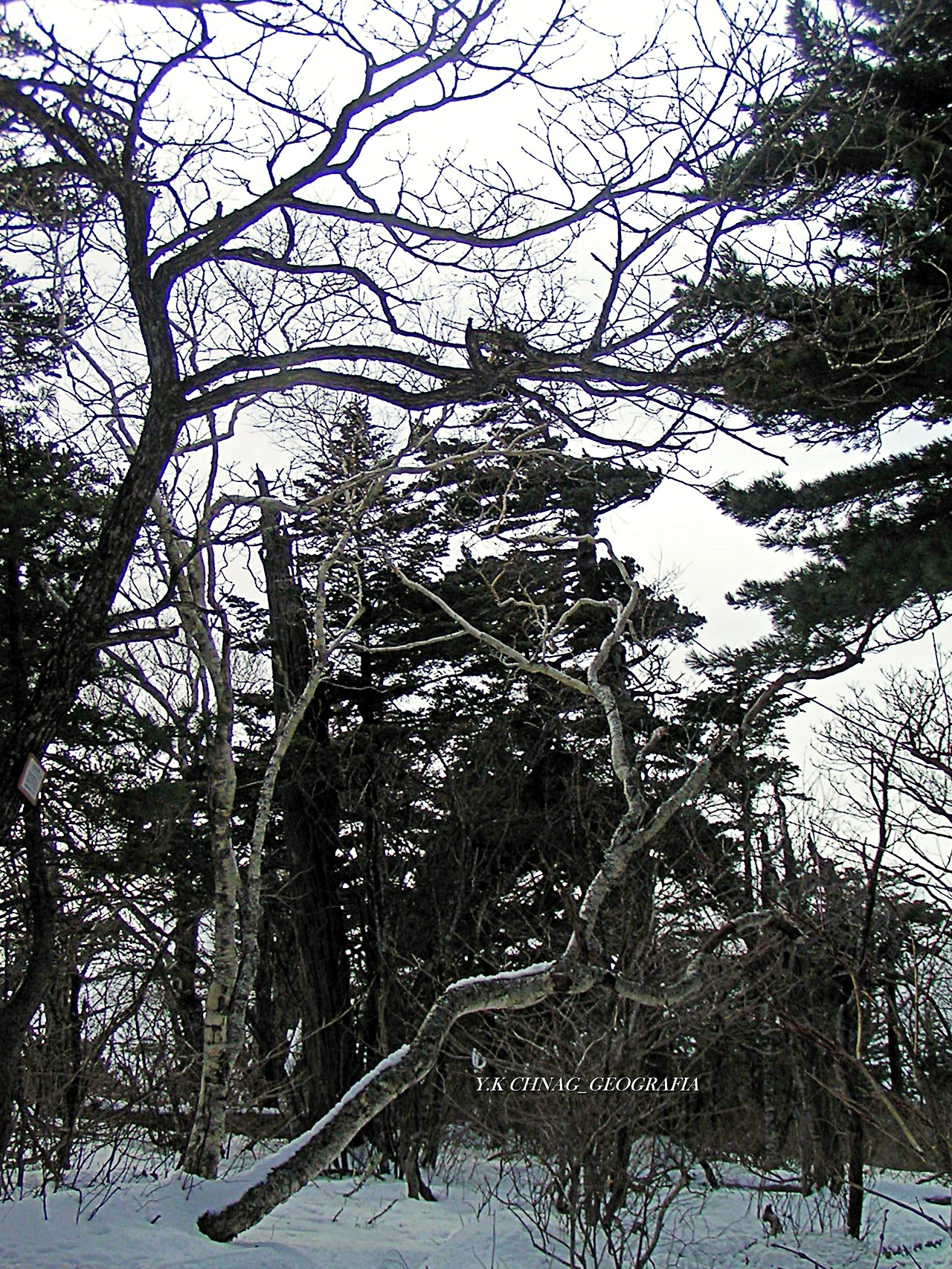 설악산 대청봉 043-1.jpg
