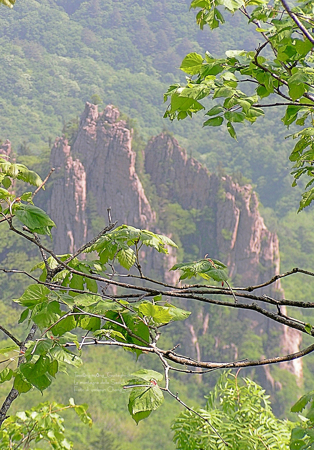 마등령,귀떼기청 5월30일 036.jpg