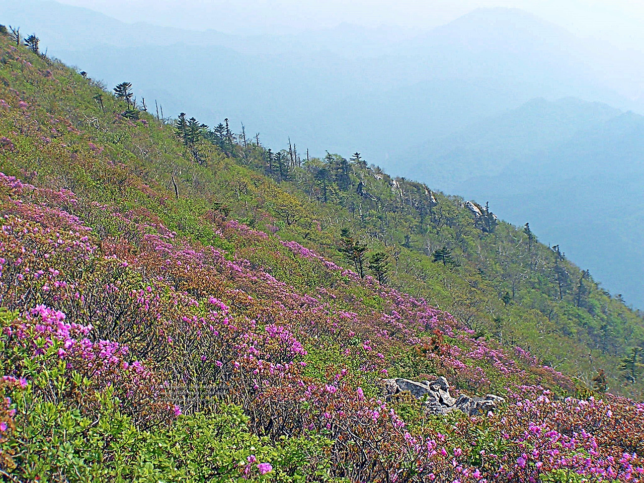 마등령,귀떼기청 5월30일 173.jpg