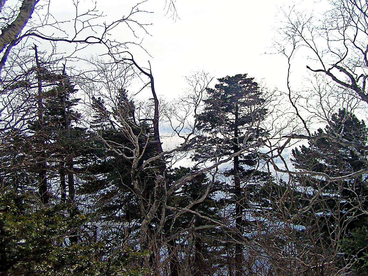 설악산 대청봉 052-1.jpg