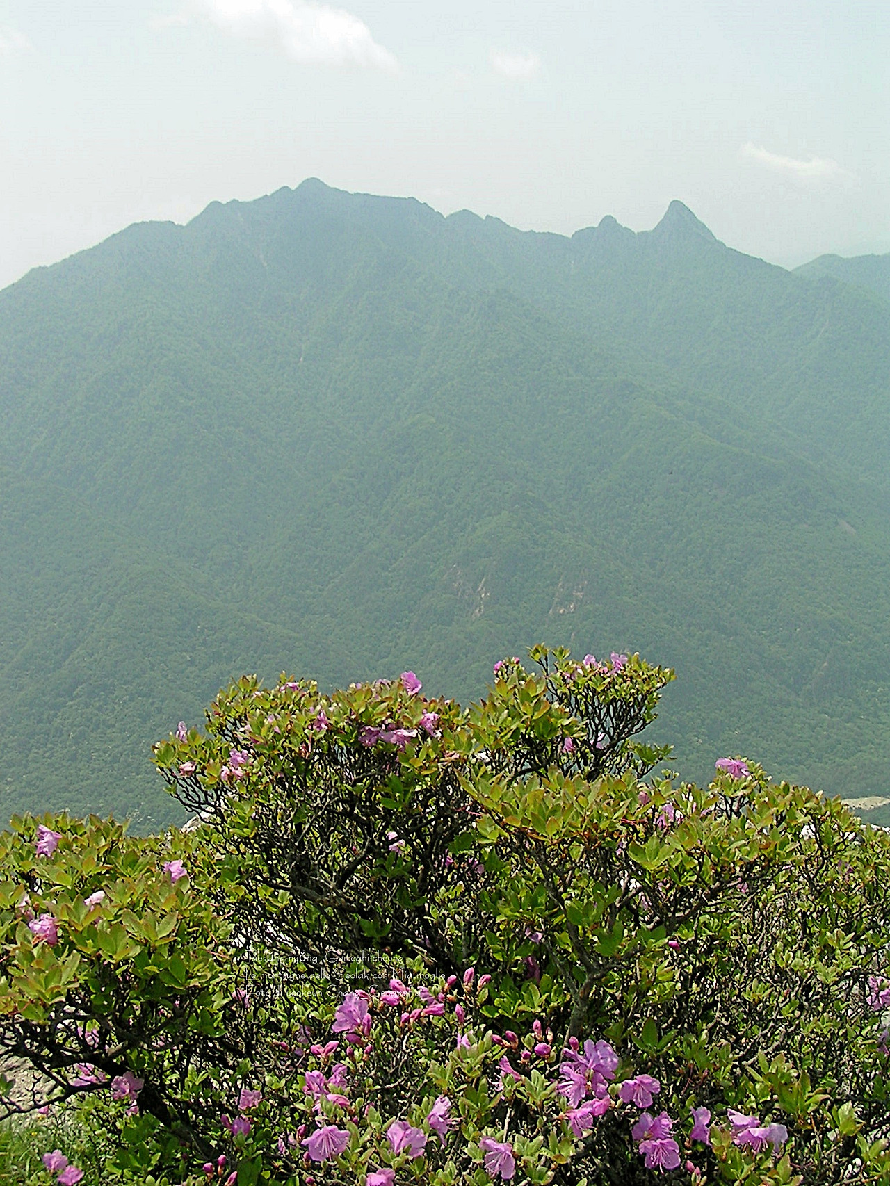 마등령,귀떼기청 5월30일 074.jpg