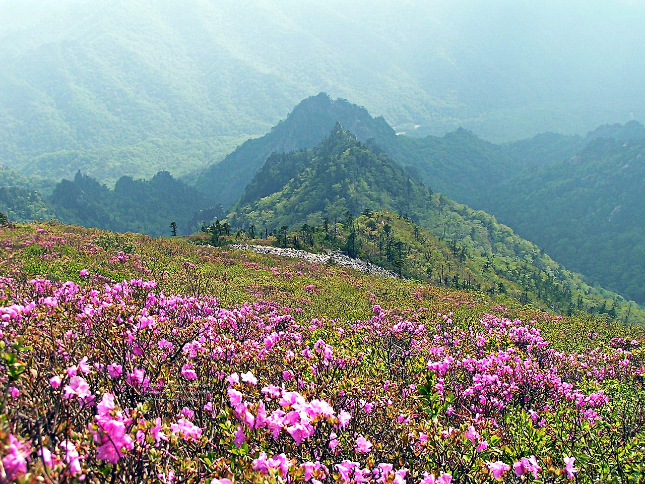 마등령,귀떼기청 5월30일 187.jpg