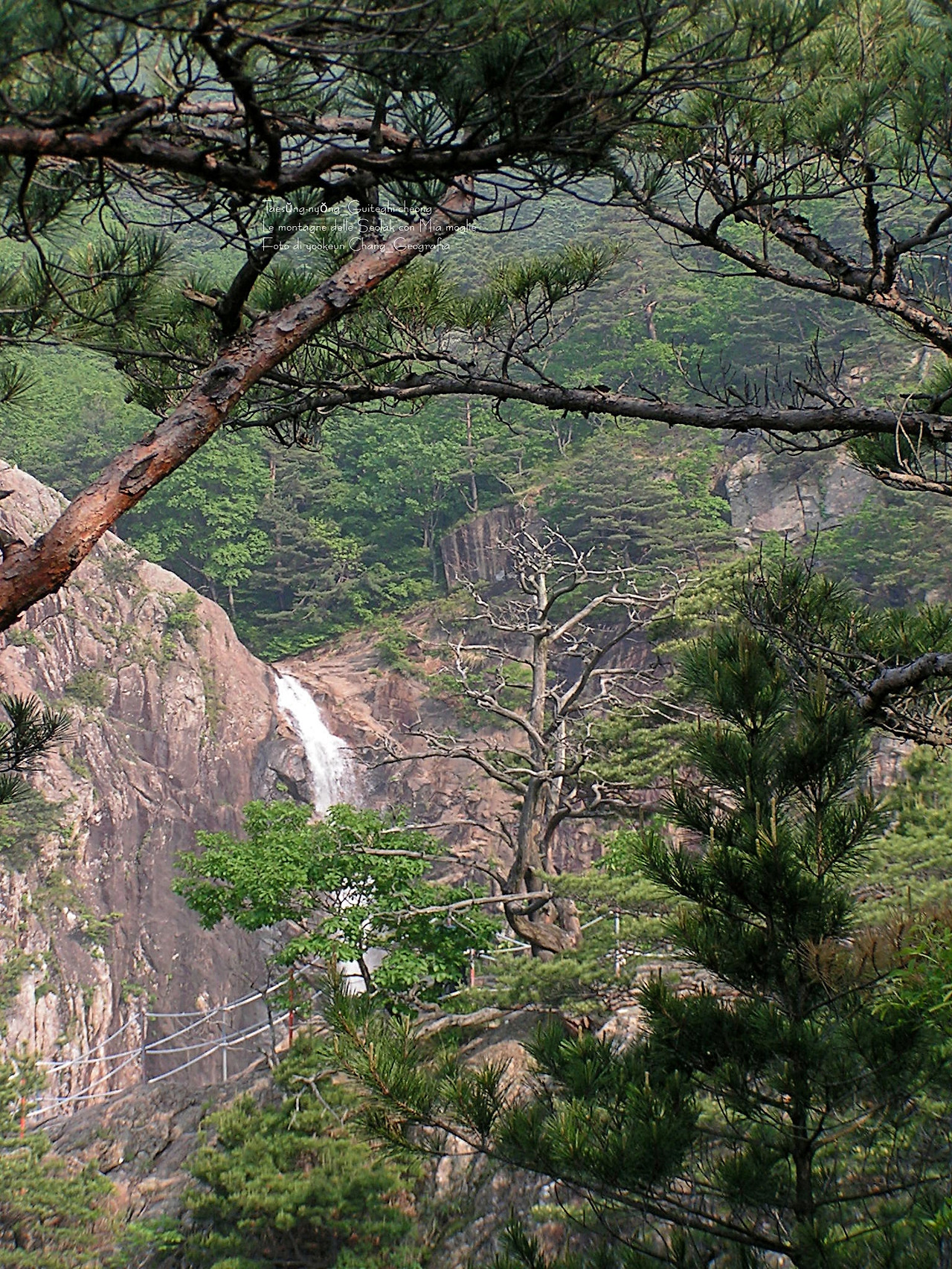 마등령,귀떼기청 5월30일 017.jpg