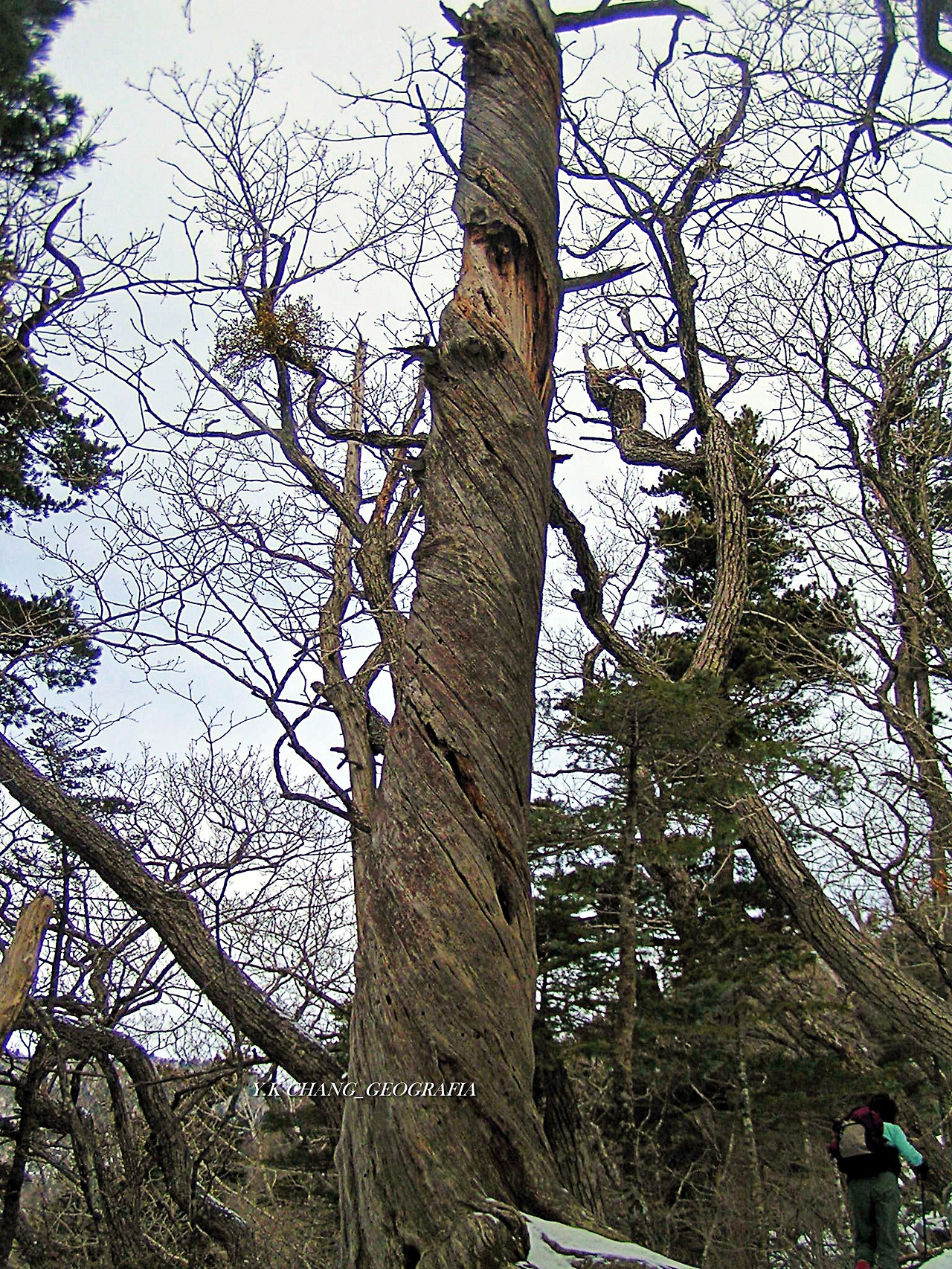 설악산 대청봉 031-1.jpg
