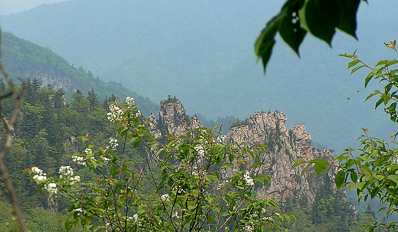 마등령,귀떼기청 5월30일 055.jpg