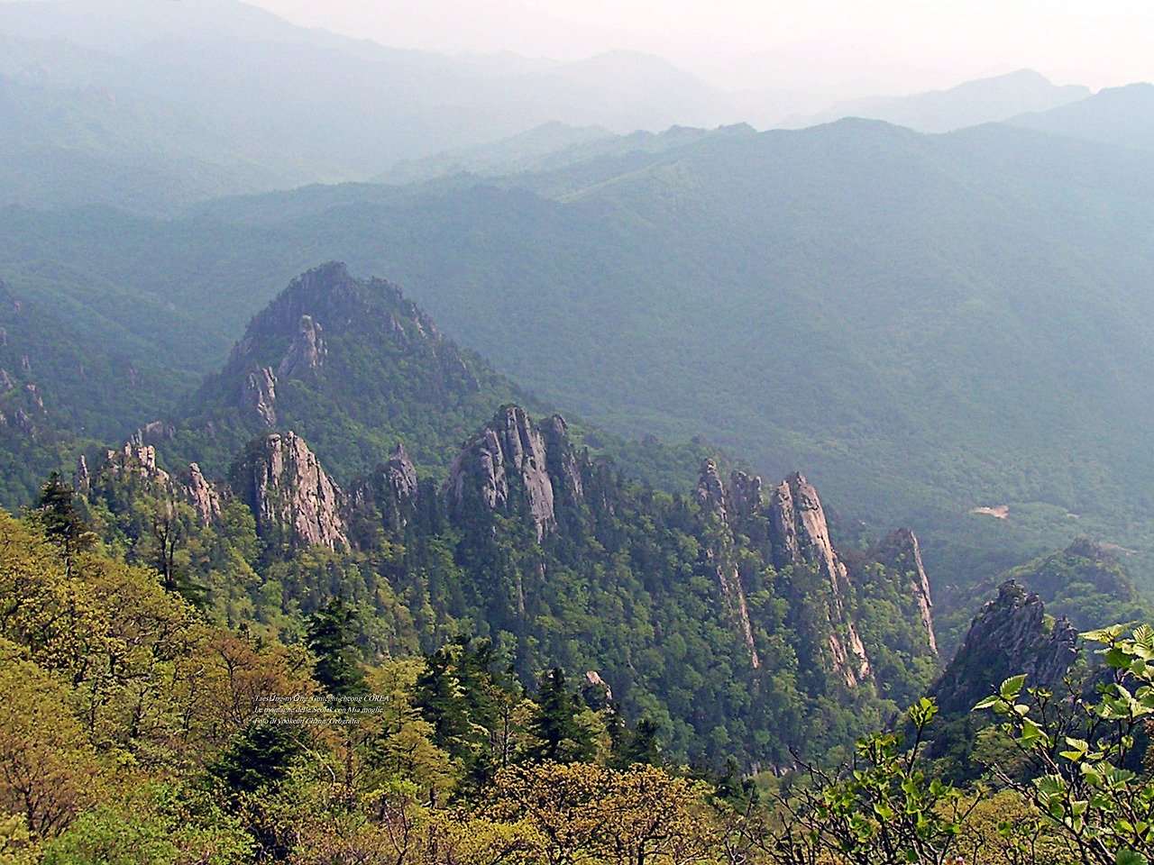 마등령,귀떼기청 5월30일 153.jpg