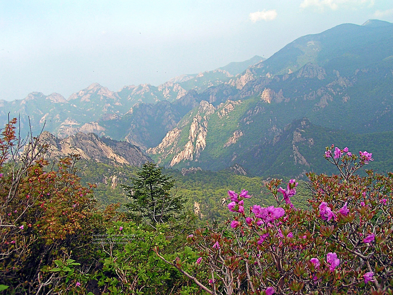 마등령,귀떼기청 5월30일 196.jpg