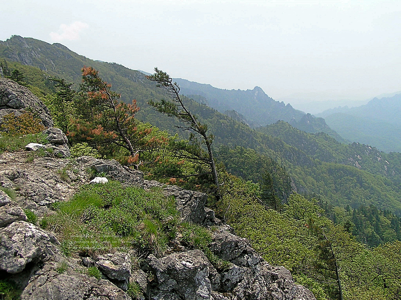 마등령,귀떼기청 5월30일 077.jpg