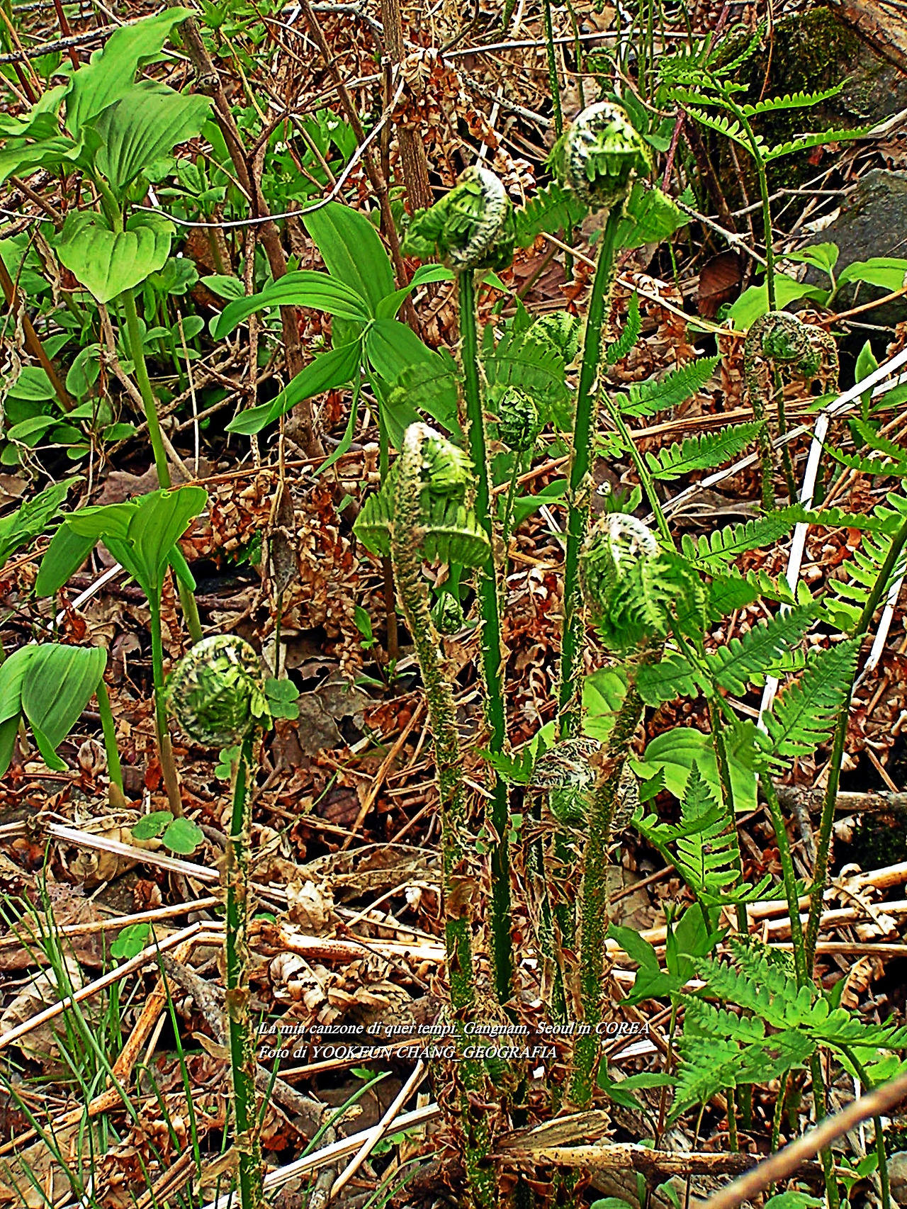 예봉산 5월3일 018.jpg