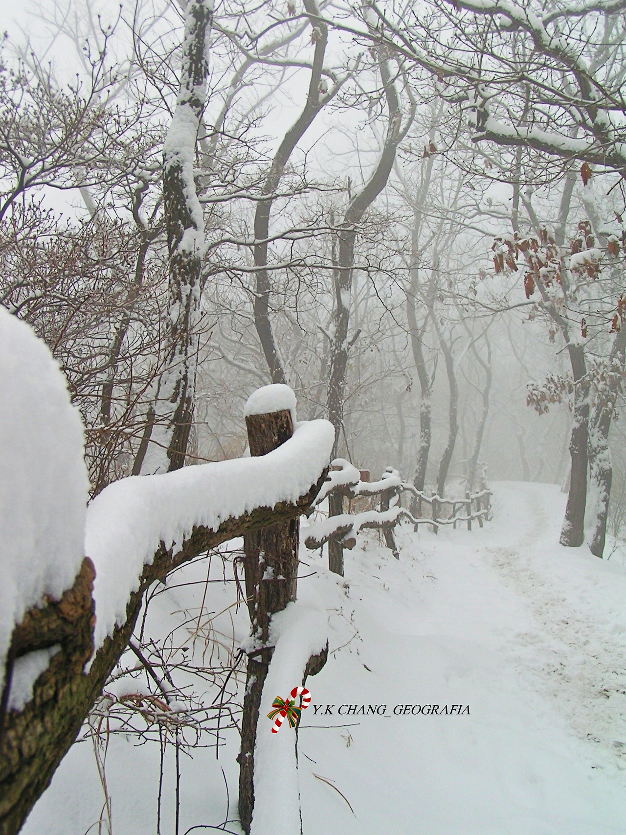 눈오는 날 청계산 055-1.jpg