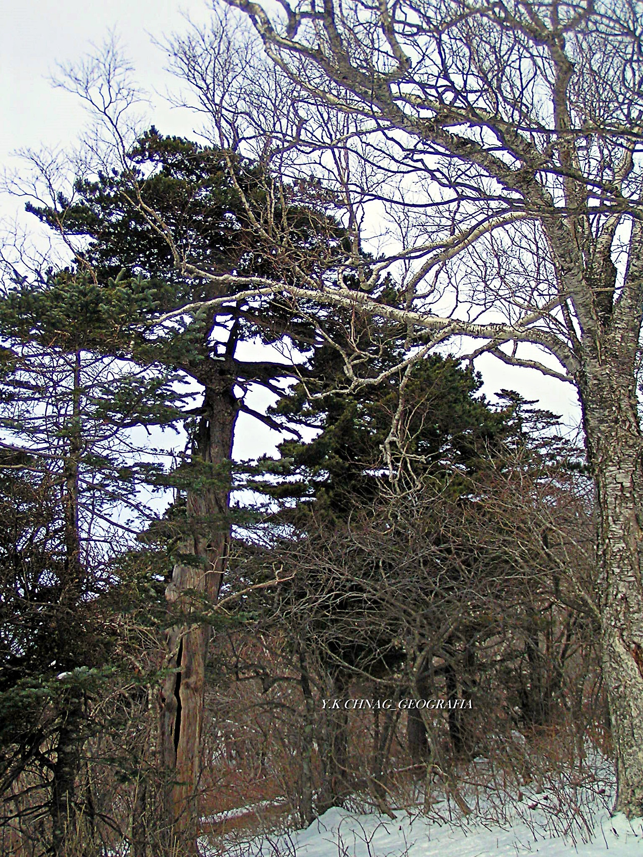 설악산 대청봉 044-1.jpg