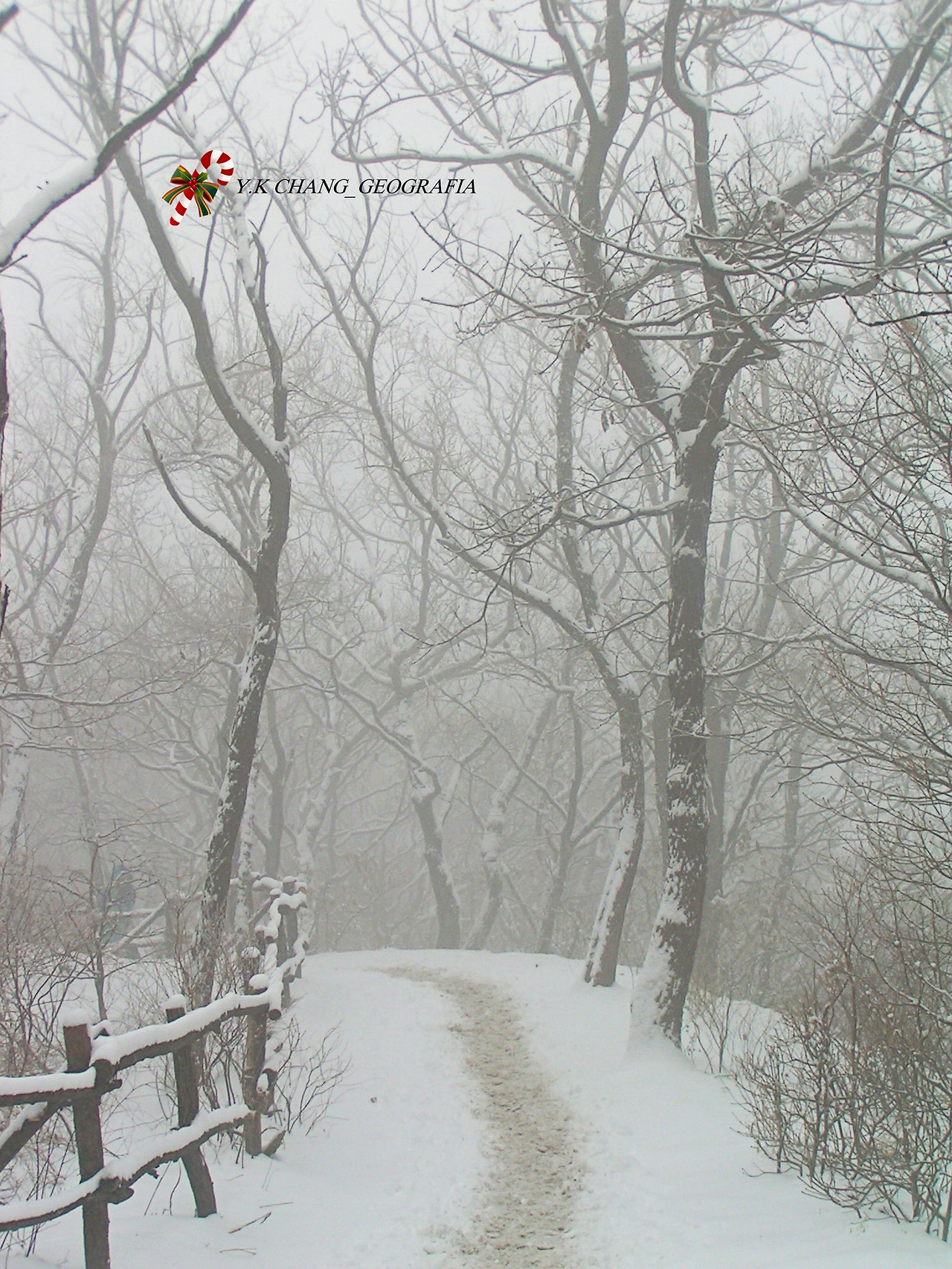 눈오는 날 청계산 026-1.jpg