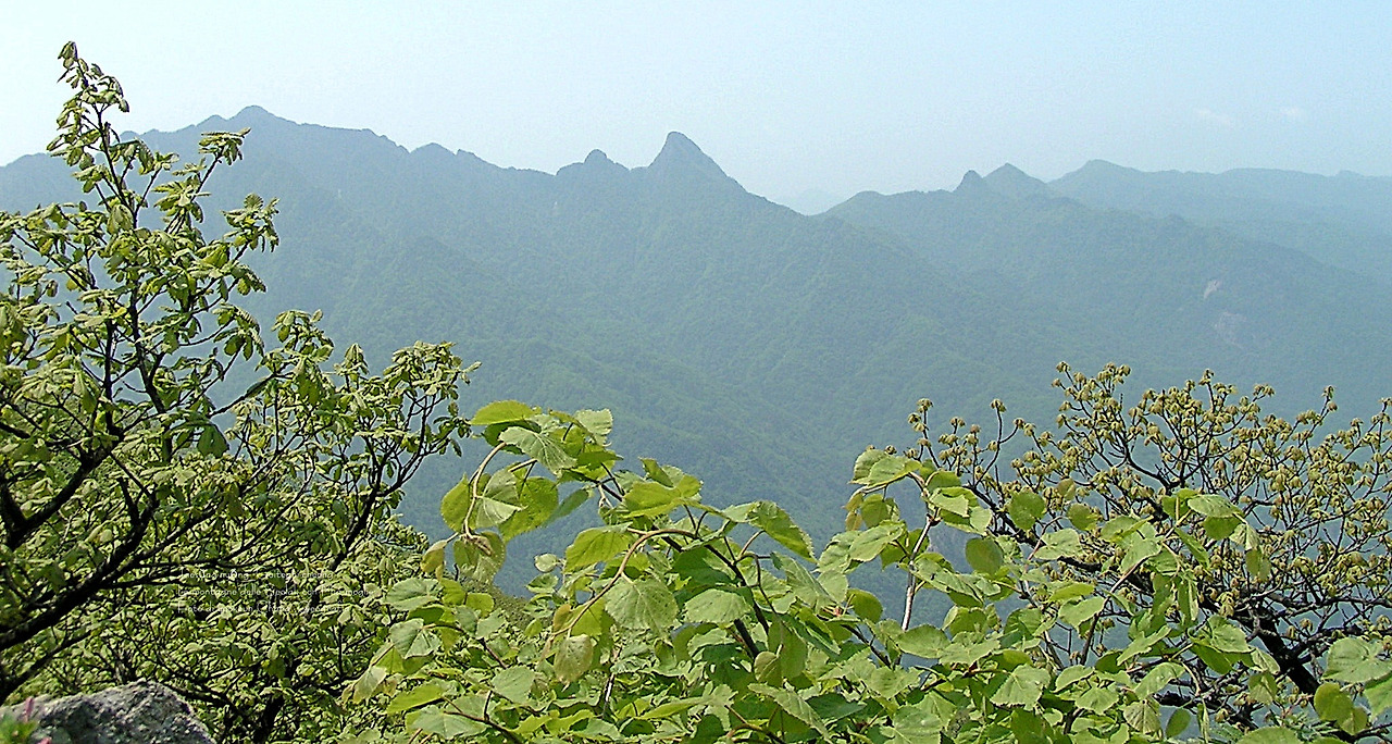 마등령,귀떼기청 5월30일 053.jpg