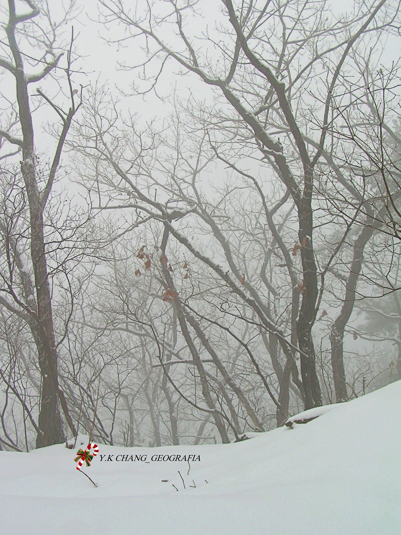 눈오는 날 청계산 056-1.jpg