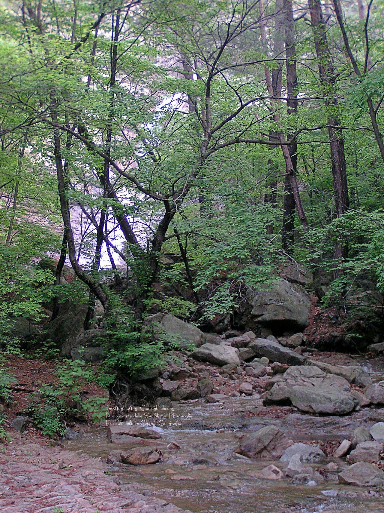 마등령,귀떼기청 5월30일 011.jpg