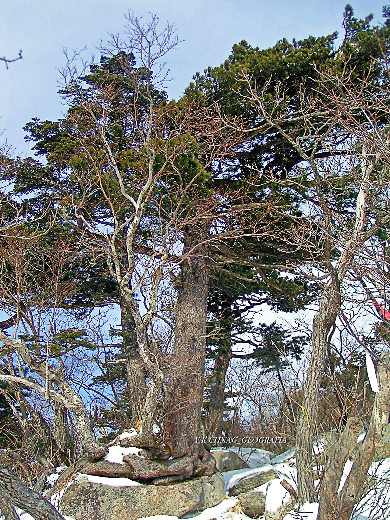 설악산 대청봉 058-1.jpg