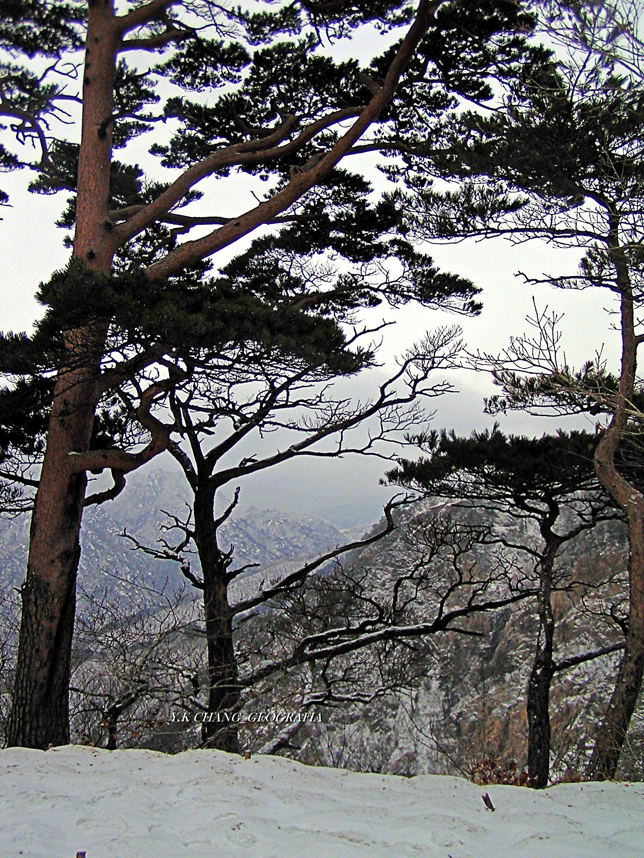 설악산 대청봉 005-1.jpg