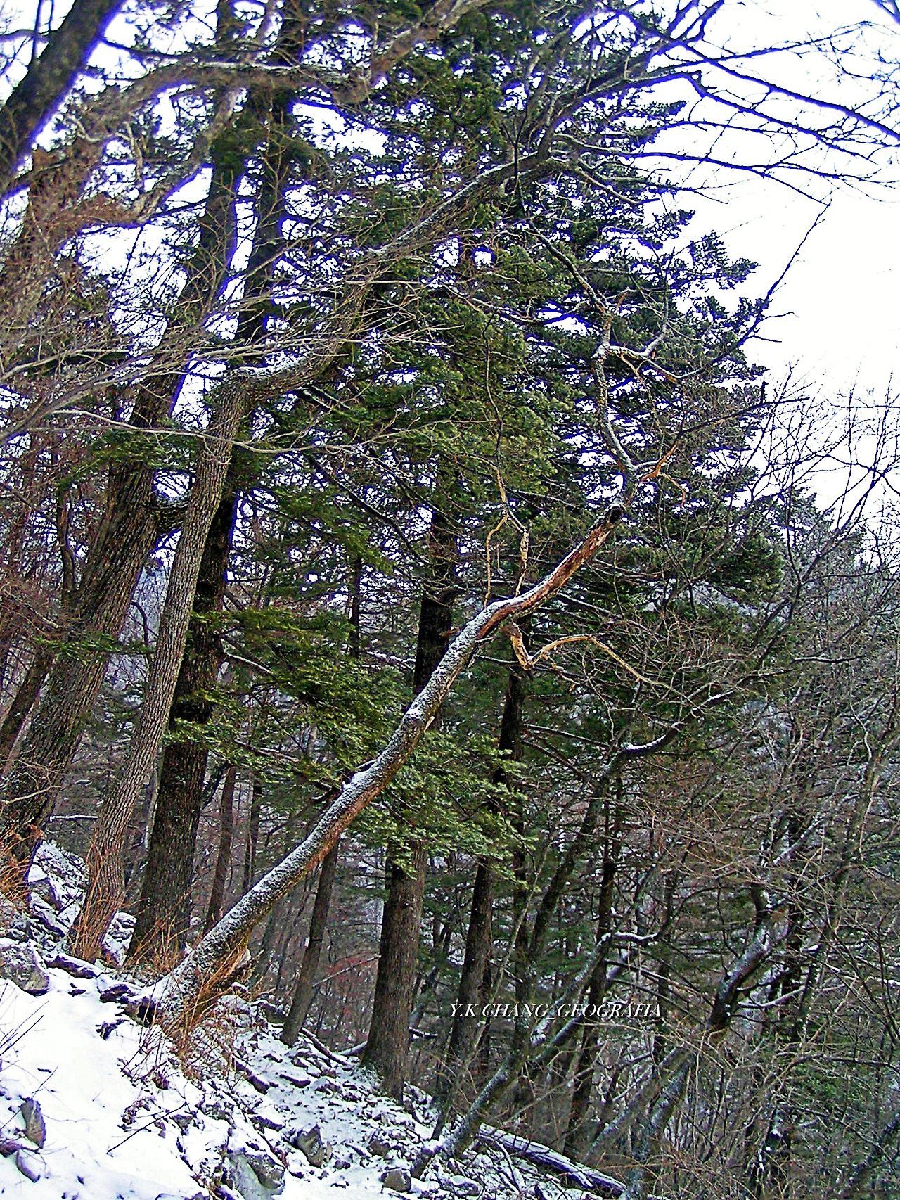 설악산 대청봉 010-1.jpg