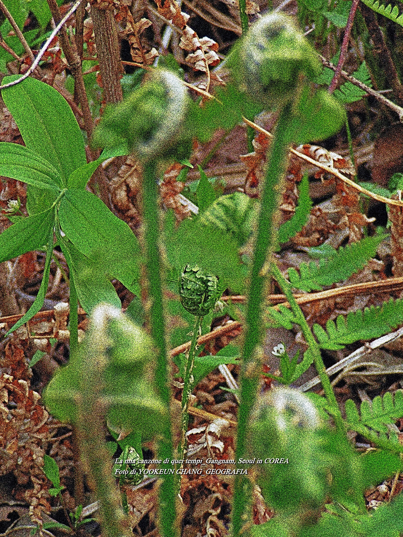 예봉산 5월3일 019.jpg