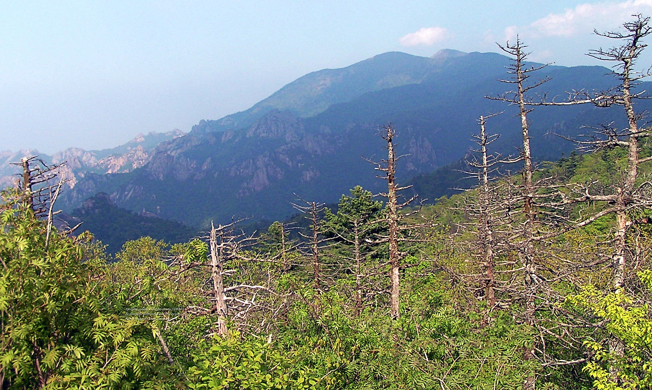 마등령,귀떼기청 5월30일 214.jpg