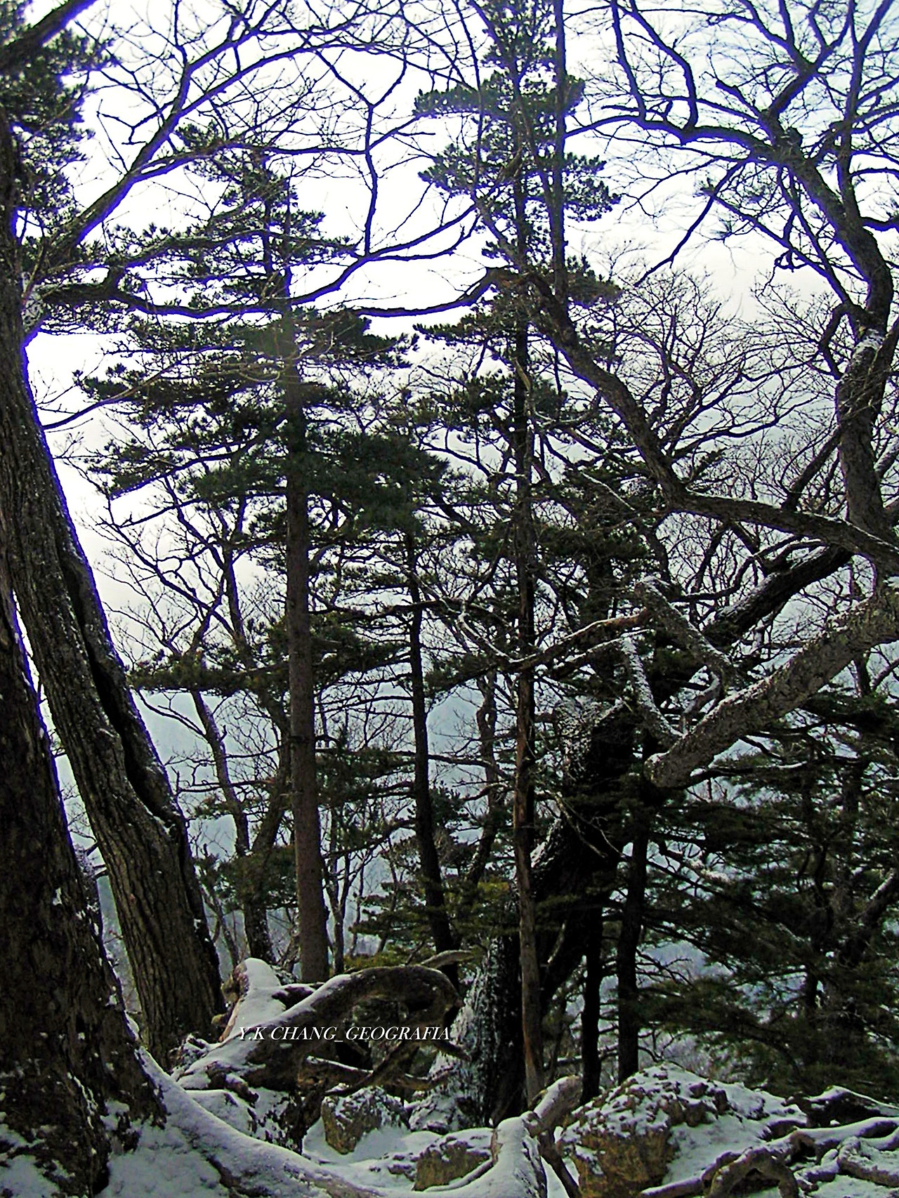 설악산 대청봉 018-1.jpg