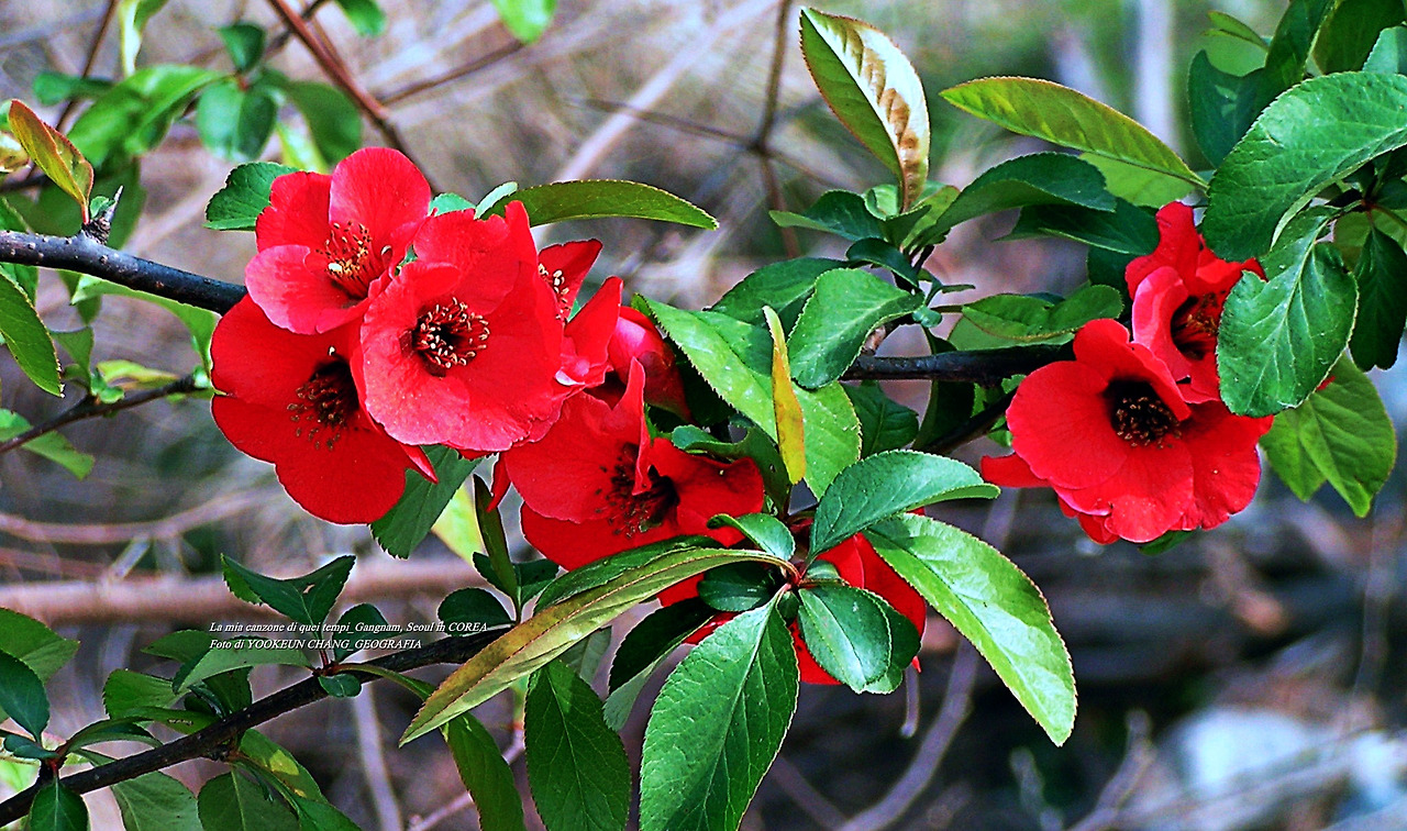 예봉산 5월3일 029.jpg