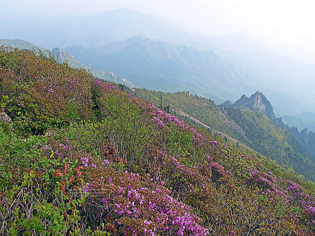 마등령,귀떼기청 5월30일 188.jpg